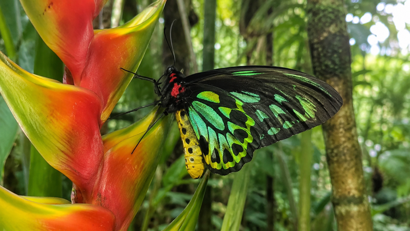 Malaysia